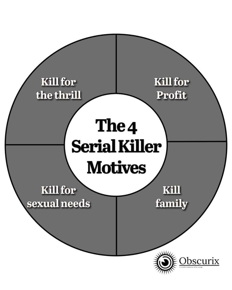 serial killer motives infographic